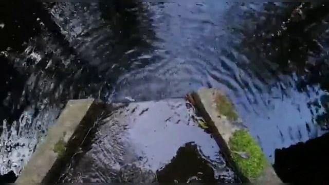 «Отчий дом», автор Л.Е. Лапутько (читает Т. Белова, видео Н.М. Компаниец) смотреть онлайн