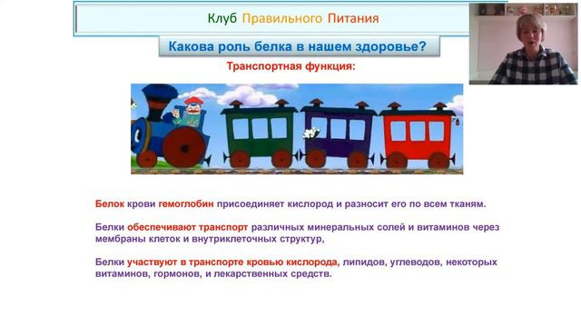 Для чего нужен белок нашему организму? смотреть онлайн