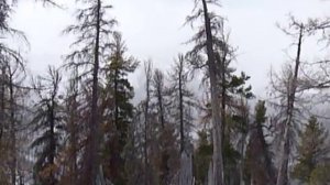 Аршан зимой, отдых, развлечения и фотографии зимнего Аршана