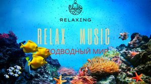 Подводный мир в сочетании с расслабляющей музыкой для хорошего настроения .