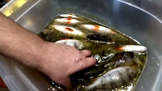 Был на рыбалки и сделал Копченого Окуня