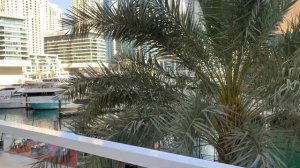 Обзор отеля Crowne Plaza Dubai Marina / Дубай - отель Кроун Плаза Дубай Марина