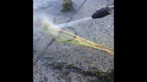 Как быстро постирать сеть от мусора.