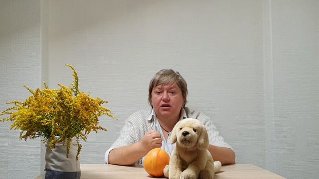 Плохие оценки смотреть онлайн