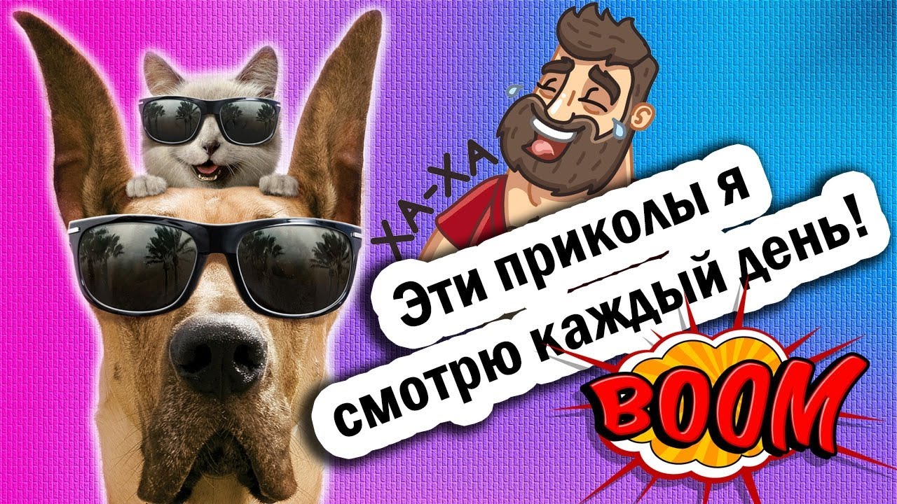 Лучшие Приколы 2022 Смешные видео - Я РЖАЛ ДО СЛЕЗ / Лучшие Приколы #106