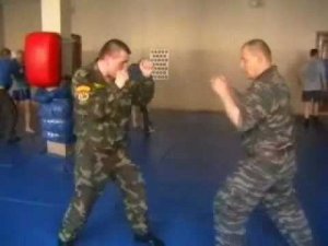 Защиты от атаки двойкой. Нестандартные приёмы рукопашного боя. Борьба.