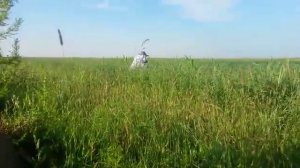 Ловля перепелки