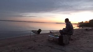 Рыбалка на фидер на реке! Сазан, карась! #фидер #сазан #карась