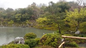 KYOTO’S SAGANO BAMBOO FOREST AND TENRYU-JI TEMPLE