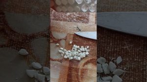 Понос у индюков//Лечение и профилактика