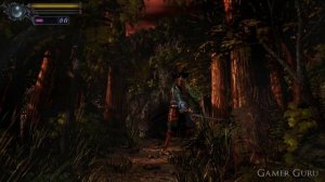 Onimusha Warlords PS4 - "UNDYING SUMMER" Trophy Guide