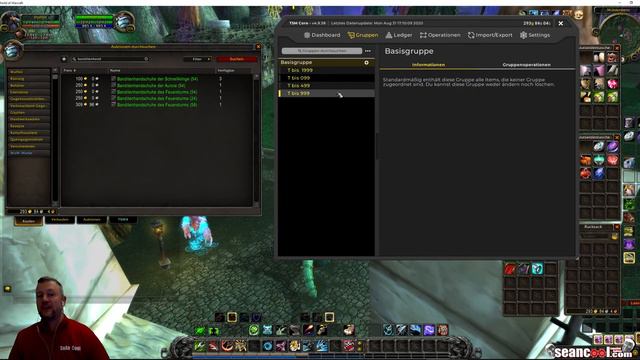 Relive: Transmog Aufbau & TSM Gruppen + Operationen | WoW Gold Guide смотреть онлайн