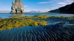 Jon Anderson - Change We Must