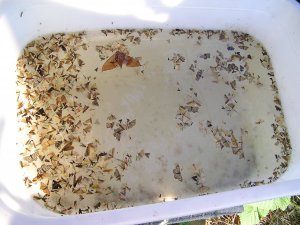 САМЫЕ ПРОСТЫЕ И ЭФФЕКТИВНЫЕ СВЕТОЛОВУШКИ