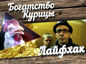 Богатство Курицы: Лайфхак. Как получить работу мечты