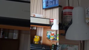 Как установить игры на прошитый Нинтендо свич