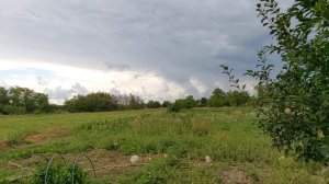 Поездка к друзьям в станицу Канеловская. Обзор дома.