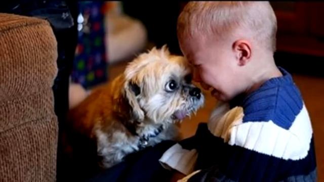 Собаку должны были усыпить! Но, только послушай, что сказал шестилетний сынишка!? смотреть онлайн