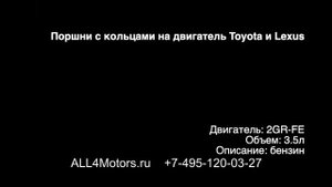 Поршень кольца Toyota Camry RAV4 Highlander Venza Alphard Lexus RX350 ES350 3.5 2GR-FE ALL4Motors