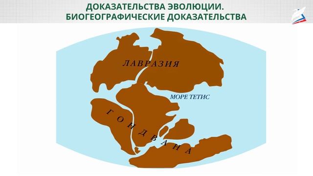 Доказательства эволюции