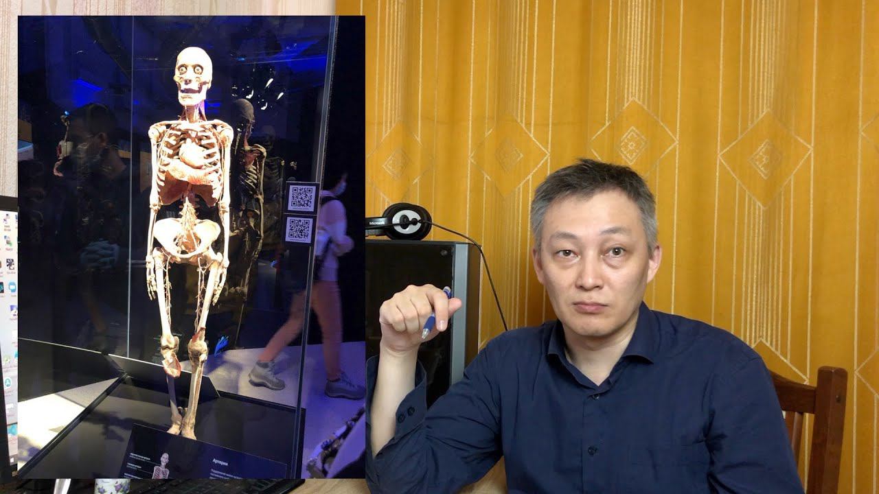 Выставка Body World, Бюрократия в пентагоне