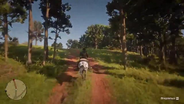 RDR 2 на PS4
