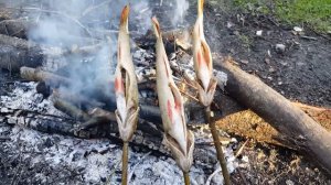 Как пожарить окуня без сковороды, первобытный рецепт )) приготовление в костре