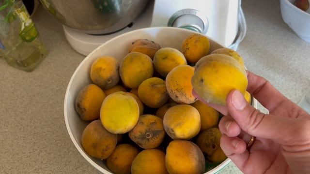 Собираем инжир и персики/Дом в Родниках/ у Вали / Обновка смотреть онлайн