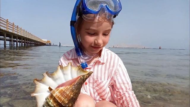 Дары Красного моря (Фауна) и невероятный отдых в солнечном Египте