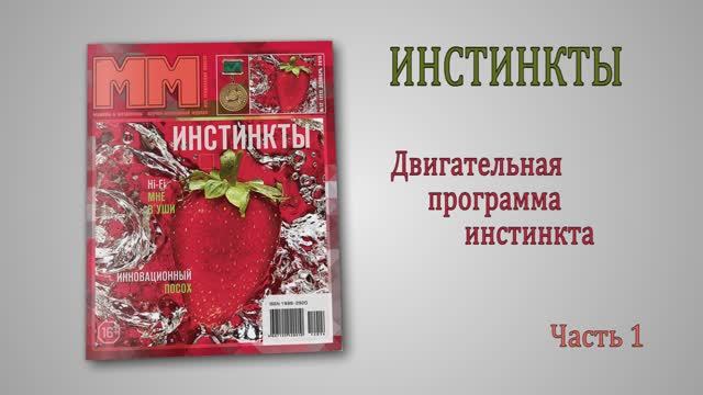 Инстинкты. Часть 1.  Двигательная программа интинкта
