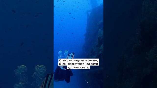 Внутри каждого свой собственный океан боли. смотреть онлайн