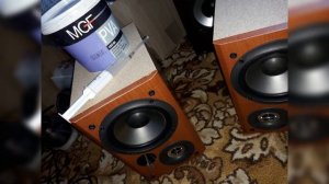 SONY SS CCP333