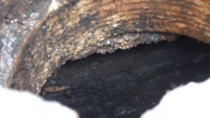 F Очистка Септика мойкой высокого давления Körcher Jet Wash for septic tank 20210621