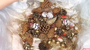 Как окрасить шишки и жёлуди своими руками. Шишки с блестками быстро и просто