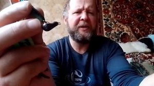 Тульские чебурашки для поролоновых рыбок.mp4