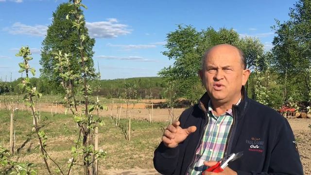 Выращиваем экологически чистые яблоки в агропарке «Долина мечты» — «Борьба с вредителями: яблони»
