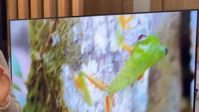 Телевизор Hyundai H-LED65BU7003 смотреть онлайн