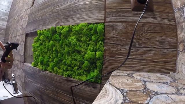 Как клеить стабилизированный мох в домашних условиях/How to glue stabilized moss