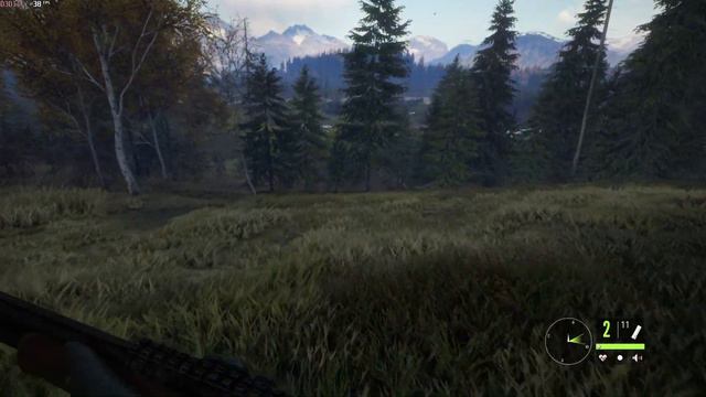 thehunter: call of the wild. Геймплей смотреть онлайн