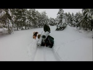 НОЧЁВКА В ЛЕСУ ЗИМОЙ В ЗАБРОШЕННОЙ ВОЕННОЙ ЗЕМЛЯНКЕ.