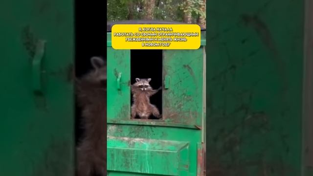 Практика избавления от страхов уже в описании!✨ смотреть онлайн