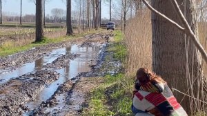 VW Multivan 4Motion off road spring 2022