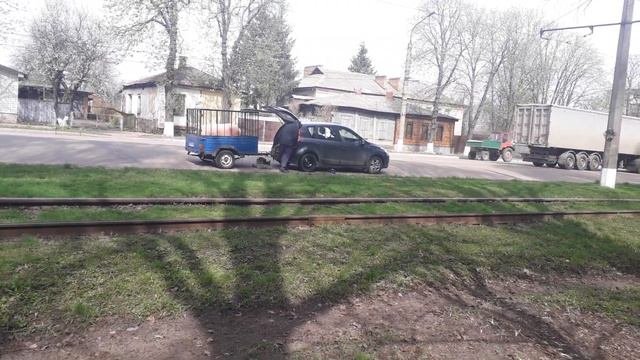 Свинтус грандиозус мамонтус (18.04.23)