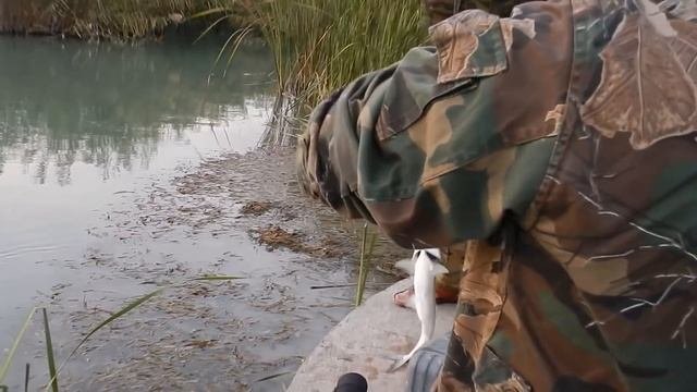 #Балхаш Рыбалка в Южном Прибалхашье.
