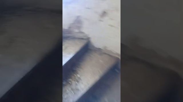 Забытая История, Маяк построенный при Петре 1