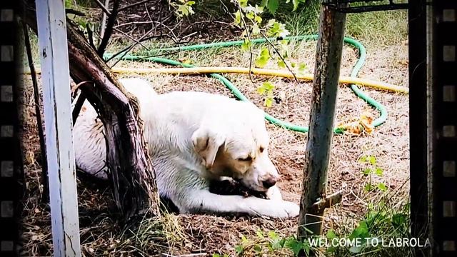 Что бы такого сделать плохого?))) смотреть онлайн