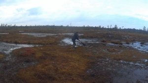 Открытие охоты на гуся 2023. Осень.