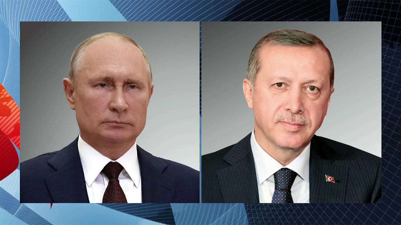 Переговоры Владимира Путина и Реджепа Тайипа Эрдогана пройдут в Сочи 4 сентября