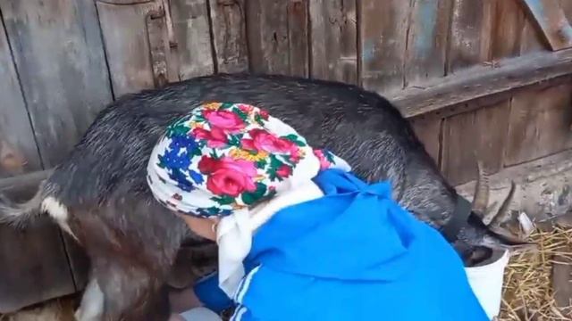 песня..."Деревенька моя" ,а на море хочется!!! смотреть онлайн