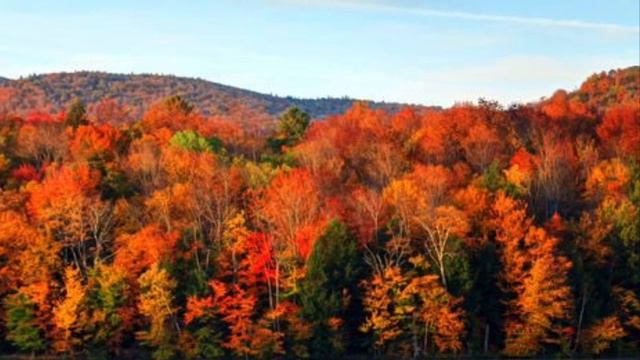 Debbie Gibson - Lost In Your Eyes смотреть онлайн